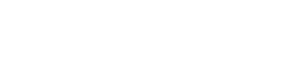 Visible Global brand logo white